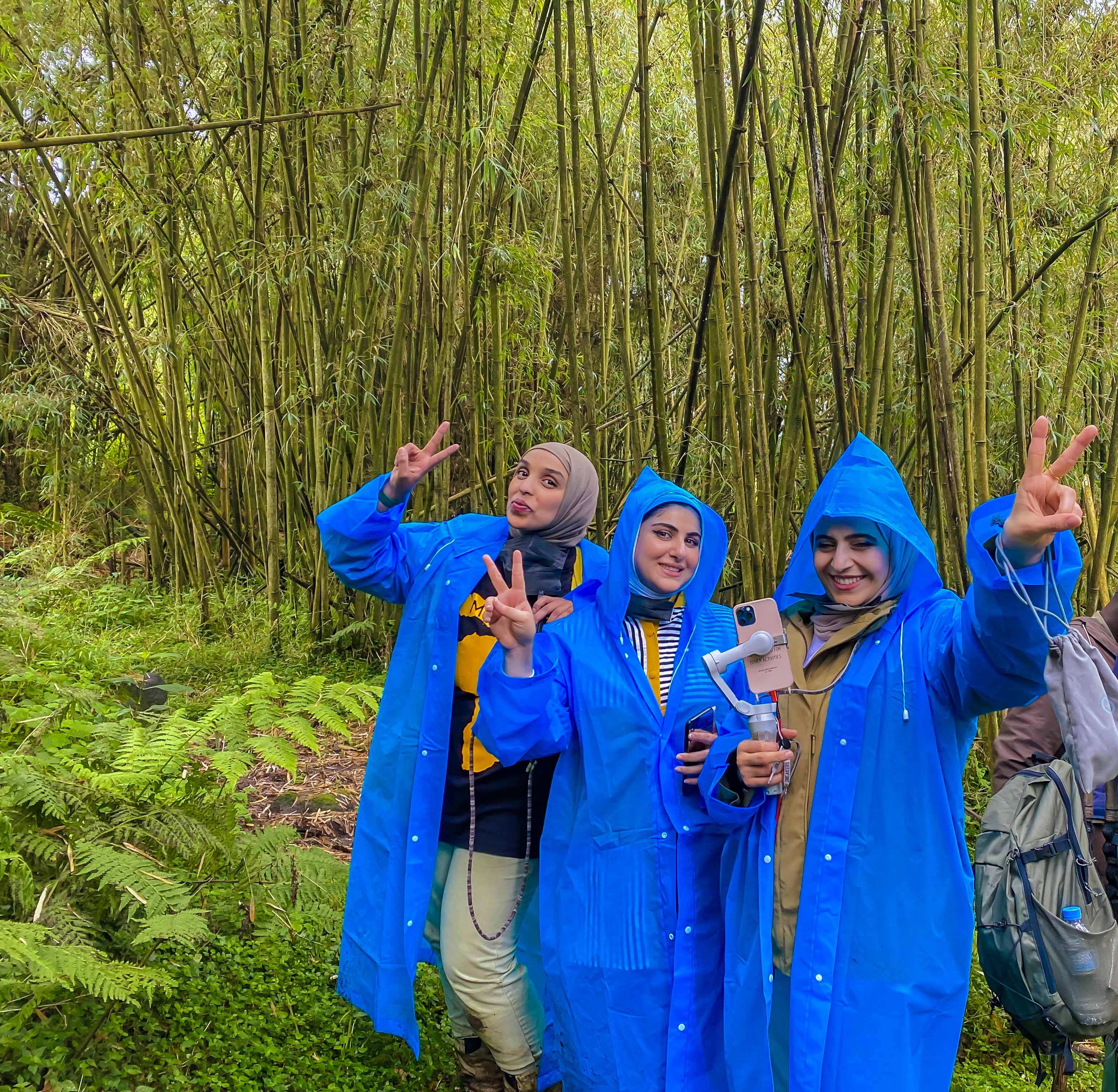 Let the Adventure Begin